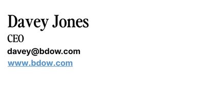 Basic email signature example for the BDOW CEO showing name, title, company, and a single company link