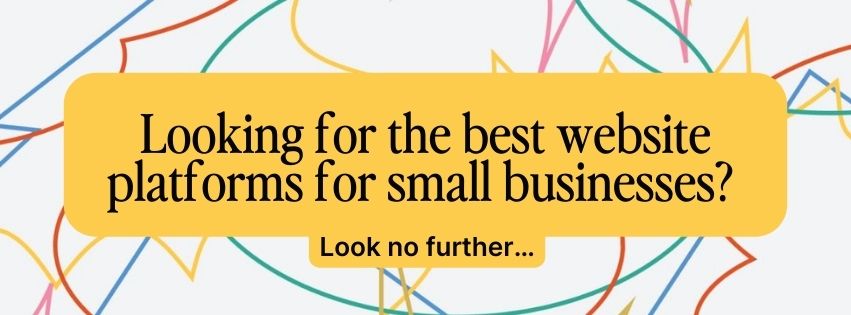 Graphic that says: Looking for the best website platforms for small businesses? Look no further.